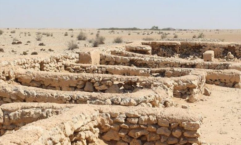 3A67C85E 4010 47D0 9F78 84ACCE631D0F