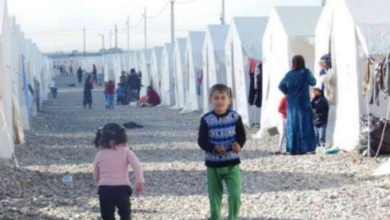 3AA23E09 BF86 47B5 84A5 612EBD0D7147