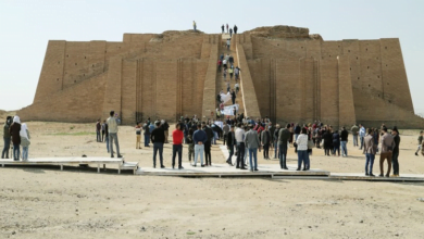 3C154C3A EF72 435B 8248 298F1A9CE7FF