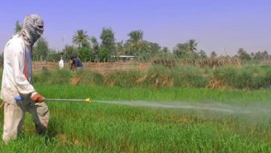 3D4C4077 ECF8 498B B25C 5B20A4EF7CBB