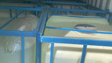 40D2F369 E78E 4261 A779 1472CB1671A1