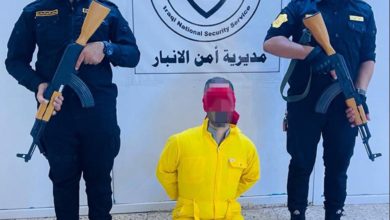 41D07713 0D74 43CD 82C1 7443F1986FF9