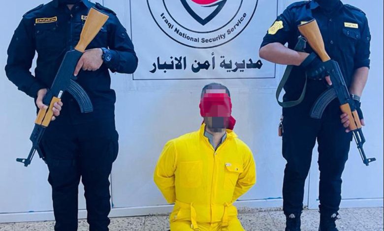 41D07713 0D74 43CD 82C1 7443F1986FF9