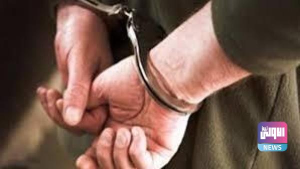 4431B4DA BA41 48A7 8C72 3C44F3552B66