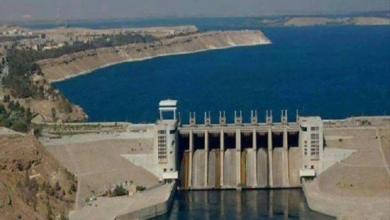 4830F03F 21A1 4475 AA11 5936F0C04E39