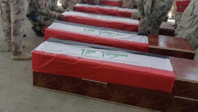 4836D4A4 5E98 47D2 AAC6 FA280C2D6B75