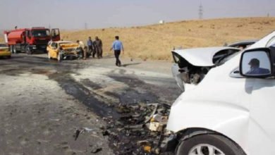 4A5125B2 D19F 4ABB AF69 64B3DFB5F42C