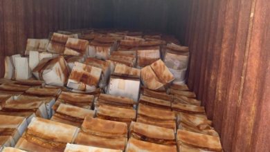 4DD091DD F18E 4055 85D1 C287C562F965