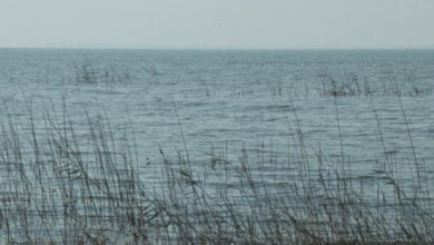 5067D79E BC2F 4D30 962D F51A3E108058