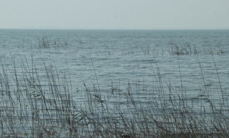 5067D79E BC2F 4D30 962D F51A3E108058