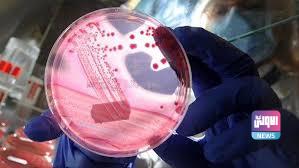 535BA9AA F509 4164 84EC CD6DC0391A09