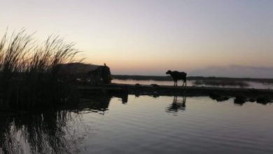 59185139 E63B 4A35 A9E7 C43D7C882BA7