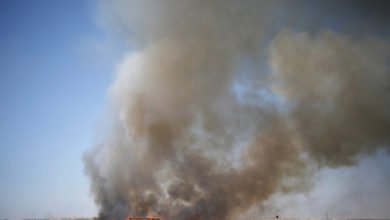 5A26EC00 BE55 4C2E BACA F367914C9C3A