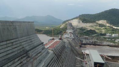 60e187f54c59b7297553d6e3