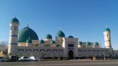 60f131684c59b7762f396e0e