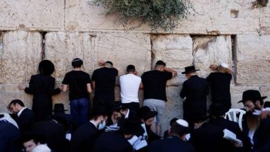 60f3d09f4236046116446ec8