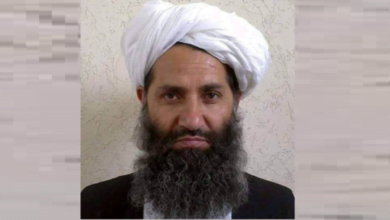 60f3e7d14236045f27524f38