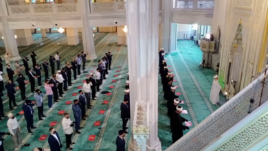 60f66bad423604349f3a0dda