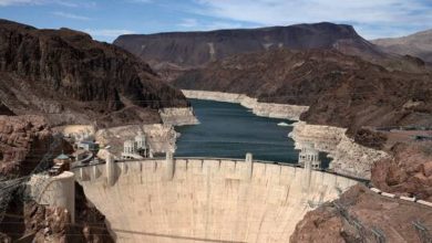 60f91d9442360415483300c2