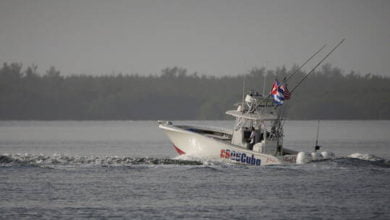 60fb95fa42360449b43b3e2f