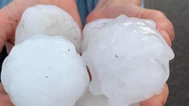 عاصفة وبرد بحجم التفاح في إيطاليا يتسبب في خسائر مادية 6 60ffbea94c59b72c9441c619 1