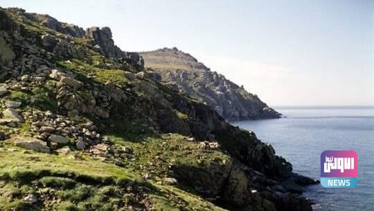 6102478a4236045d455cea6a