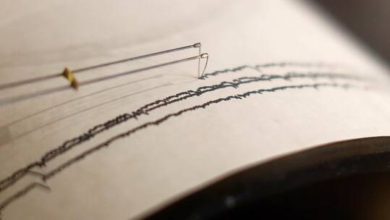 61024f424c59b77bfb383d62