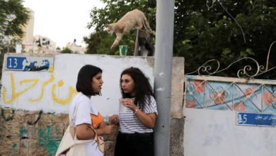 61025e634c59b705ce0b0d6d