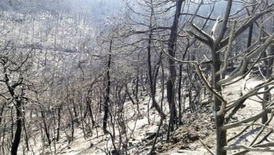 6103c0054c59b702e95dc41e