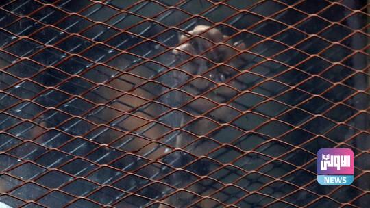 610533414c59b71fe65ebe8d