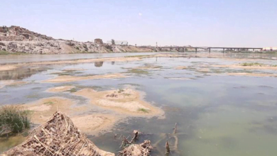 611A4A4F DBC2 4530 9678 F0B08459F57E