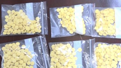 6422B2C6 6933 4B6E B069 090254D15EAD