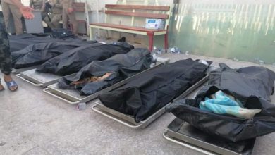 6844DA5A 055A 42D5 8F39 7D61383C1A19