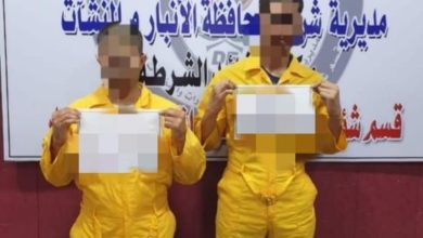 69E8193D 27C1 4E3E BAA7 23D50FB5C0B3