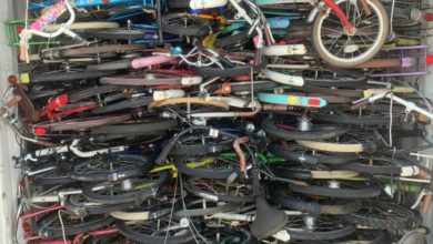 6A9D82E0 E22E 4735 B390 094D0F0AED84