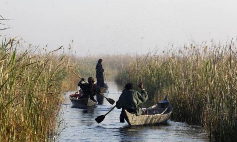 6D2469F8 23FA 4CA8 9910 E3D1029361C9