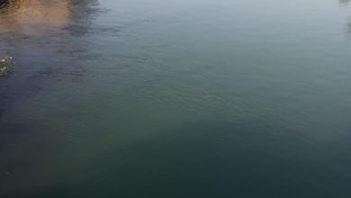 71D35378 E12E 48F7 BC7D 1C59AC4E14F4