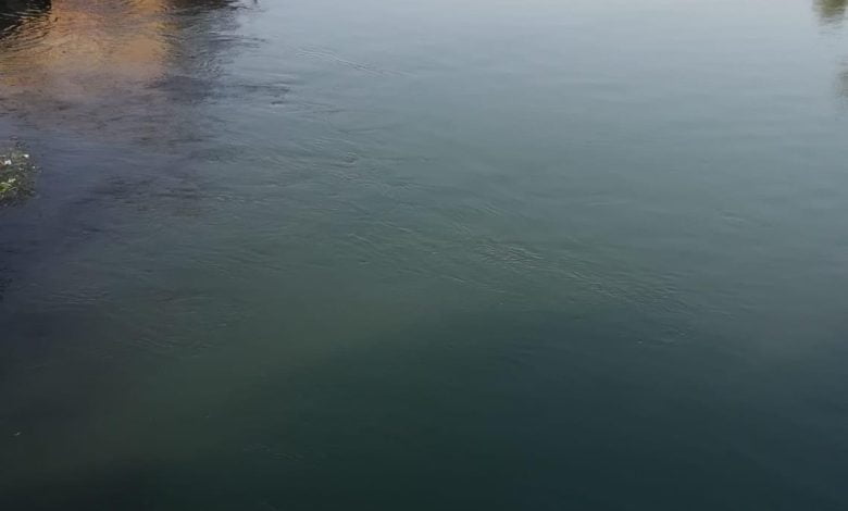 71D35378 E12E 48F7 BC7D 1C59AC4E14F4