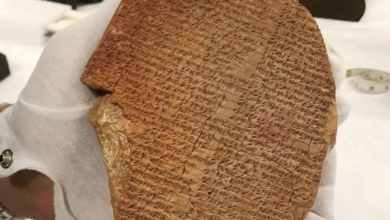 75647350 4B87 408B 86BB E2CAD66A298F