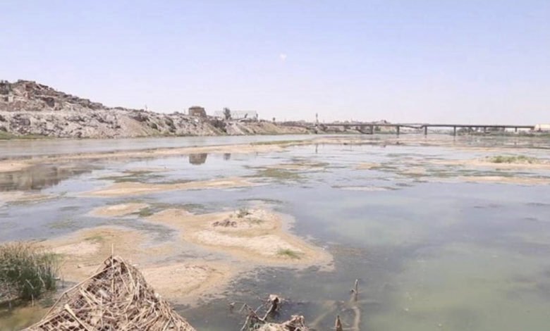 75F05F67 1F52 4BD6 B94A 7B2C03F7752E