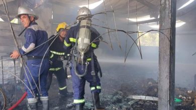 78A91B0D F6C1 4747 9BB5 FB49CB65342F