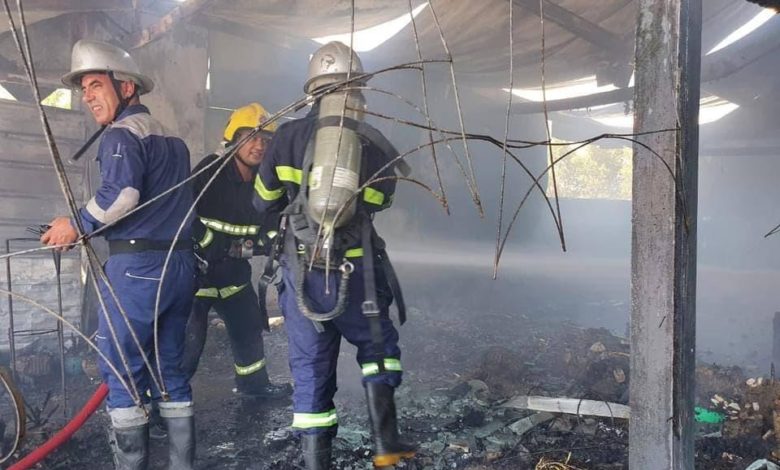 78A91B0D F6C1 4747 9BB5 FB49CB65342F