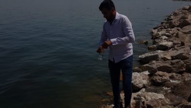 881AB6ED DDA6 4251 AEBB A220D68E3036