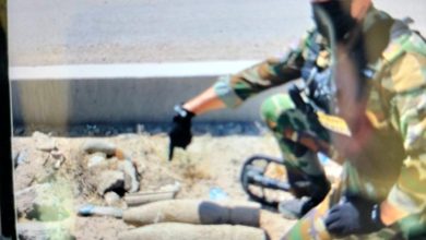 8879722C A2AC 481C 9789 941E24BEBE02