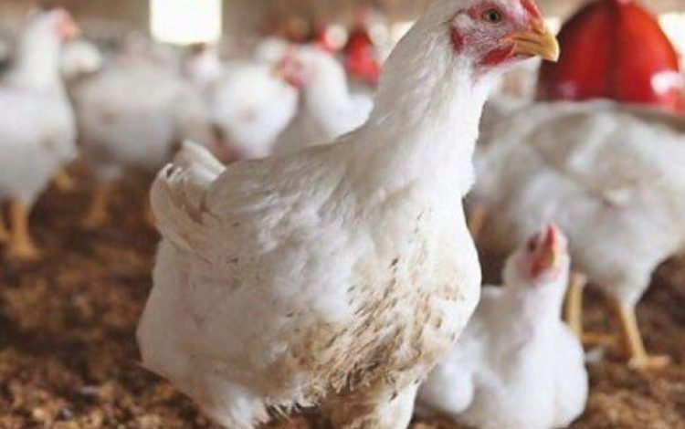 89D14A55 D382 4D80 8ECE C987735E1319