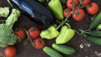 8FC91EF9 FE8F 426E 9488 3FF2CB19439C