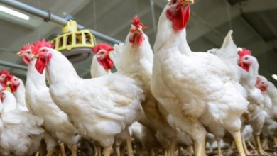 97B7D6C7 D537 4899 A649 91EDA734AC50