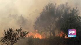 سوريا.. إخماد حرائق في الأراضي الزراعية بمحافظة اللاذقية 5 9CBFD917 1E34 4A36 B7A0 9AB2F5B29954