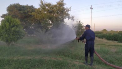 9D88CF0E DCD7 404D BDDA 6324AB7BB985