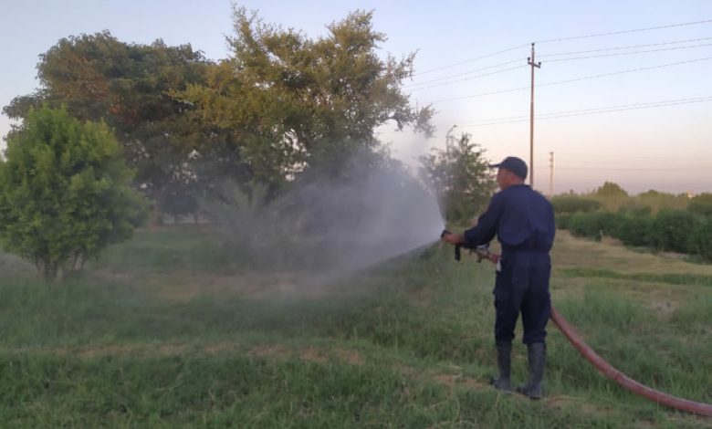 9D88CF0E DCD7 404D BDDA 6324AB7BB985